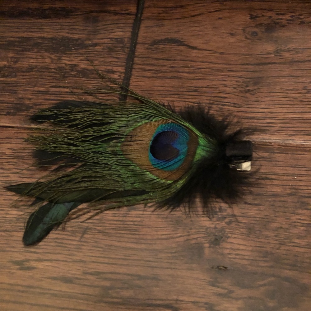 ✨Free With Purchase✨ Peacock Feather Hair Barrette